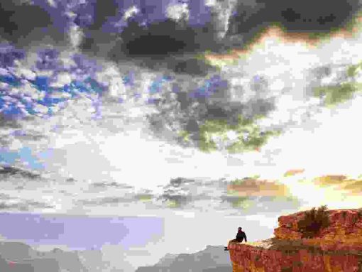 Donec nec luctus eros