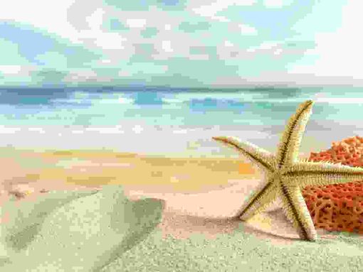 Vivamus ullamcorper enim