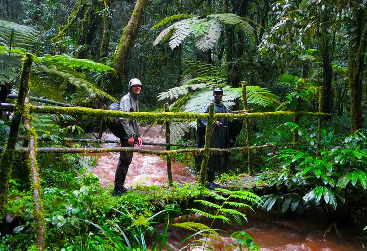 Ivy River (Nteko to Buhoma)